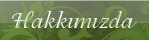 Hakkımızda
